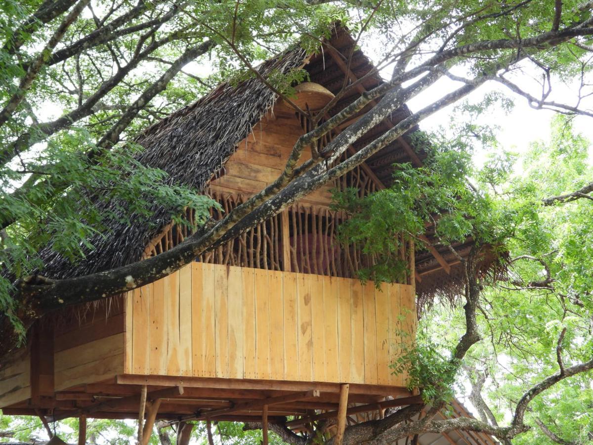 Yala Village Eco Tree House Tissamaharama Exterior photo